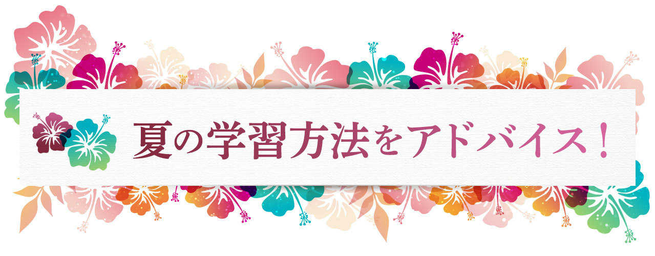 夏の学習方法をアドバイス