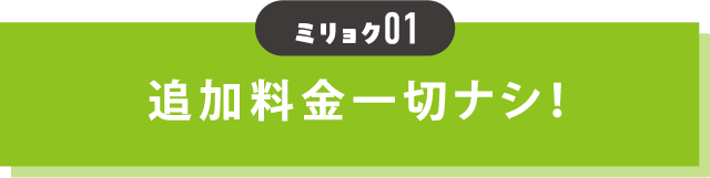 魅力01 追加料金一切ナシ