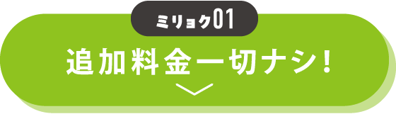 魅力01 追加料金一切ナシ