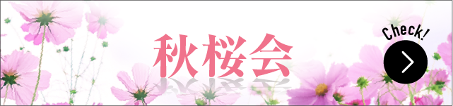 秋桜会