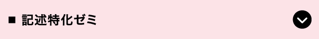 記述特化ゼミ
