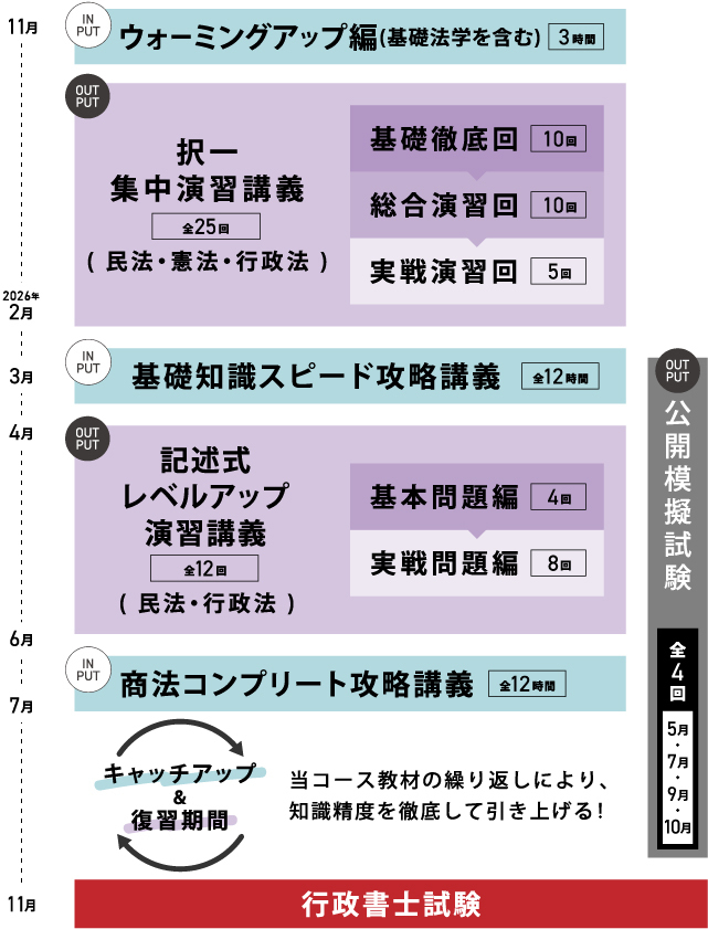 ステディコース カリキュラム