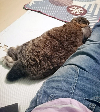 癒し