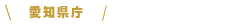 会計検査院
