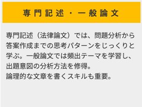専門記述・一般論文