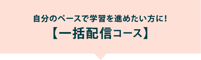 一括配信コース