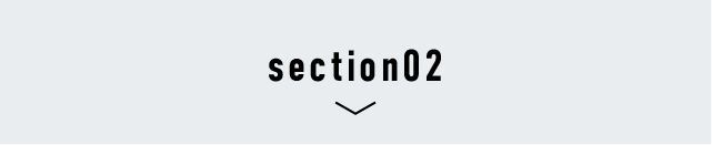 section02