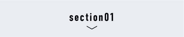 section01