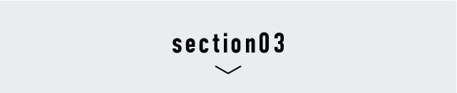 section03