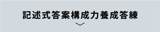 記述式集中演習講義