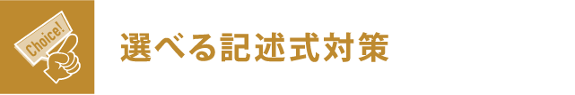 選べる記述式対策