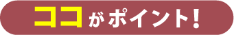 ココがポイント！