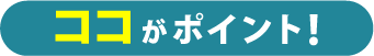 ココがポイント！
