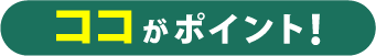ココがポイント！