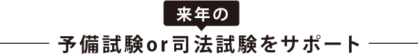 来年の予備試験or司法試験をサポート