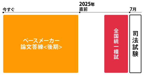 2025年合格目標 司法試験 オリ問答練・模試パック | 対策講座 2025年合格目標 司法試験 オリ問答練・模試パック | 対策講座