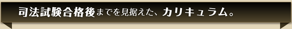司法試験合格後までを見据えた、カリキュラム。