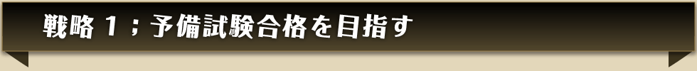 戦略1;予備試験合格を目指す