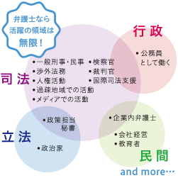 弁護士なら活躍の領域は無限！