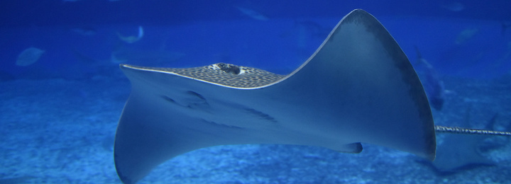 17okinaw_0161.jpg